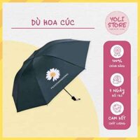 Ô dù Hàn Quốc chống tia UV hình hoa cúc chất liệu vải dù mật độ cao, chống nước tuyệt đối - Yoli Store
