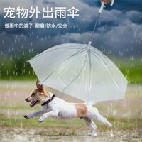Ô dù thú cưng Teddy cho chó nhỏ đi bộ ô có dây xích Áo mưa cho chó
