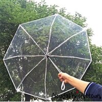 Ô (dù) trong suốt gấp gọn