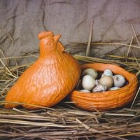 Ổ Gà Đất Nung Handmade Bỏ Bánh Kẹo