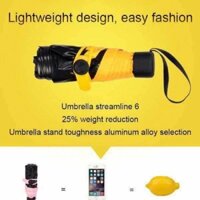 Ô gấp gọn chỉ bằng 1 chiếc iphone