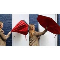 Ô GẤP NGƯỢC ĐI Ô TÔ KIỂU NHẬT