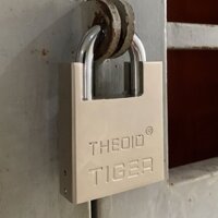 Ổ Khoá Chống Cắt Chìa Cong 6 phân Theoid Tiger kèm 4 chìa khoá