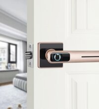 Ổ khóa cửa thông minh vân tay 002