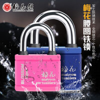 Ổ khóa hoa mận, ổ khóa màu sắc, ổ khóa chống gỉ, ổ khóa chống nước, ổ khóa kim cương, ổ khóa túi, ổ khóa tủ, ổ khóa cửa kho C5DY
