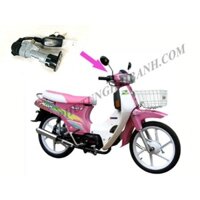 Ổ khoá xe Max III