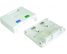 Ổ mạng nổi 2 port DINTEK – Surface mount box 1301-02013