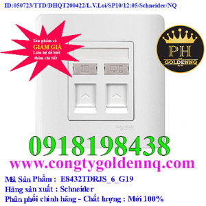 Ổ mạng + ổ điện thoại Schneider Zencelo Series E8432TDRJS_6_G19
