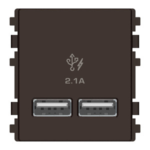 Ổ sạc USB 2.1A đôi Schneider 8432USB_BZ
