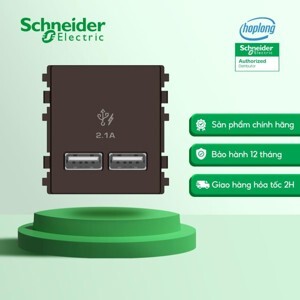 Ổ sạc USB 2.1A đôi Schneider 8432USB_BZ