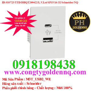 Ổ sạc USB type Schneider M3T_USB2_WE - A+C 2.4A size 2S