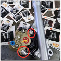 Ốc Bát Heo Dầu Inox 304 CTS Xe Yamaha Honda Vặn Ngược Chống Trộm Heo Dầu