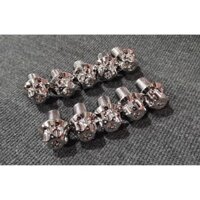 Ốc chân kiếng 10li Salaya - Inox sáng bóng (giá 1 con).