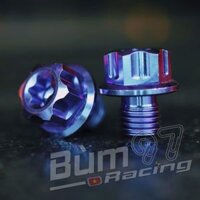 Ốc Chân Kính GR5 ProBol M10 X 1