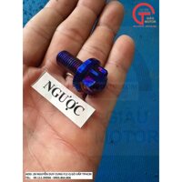 ỐC CHÂN KÍNH KIỂU SALAYA