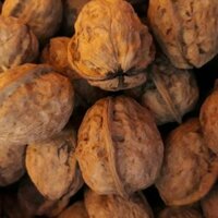 Oc chó rừng tốt cho bà bầu, trẻ em và tất cả mọi lứa tuổi. Nên ăn oc chó hàng ngày nhé