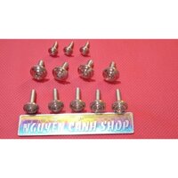 Ốc dàn áo Dream 12 con inox 304 đầu dẹp thái