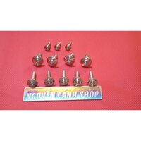 Ốc dàn áo xe Dream (12 con inox 304 đầu dẹp thái)