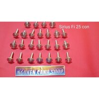 Ốc dàn áo xe Sirius Fi (25 con inox 304 đầu dẹp thái)