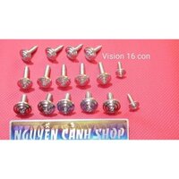 Ốc dàn áo xe Vision (16 con inox 304 đầu dẹp thái)