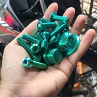 Ốc dĩa gr5 titanium 5 con , 2 con ốc pass heo , 1 con ốc heo dầu