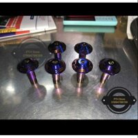 ỐC ĐIÃ TITAN 195K/CON