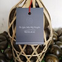 ỐC-GÁC-BẾP-MỸ-XUYÊN,GIỎ-TRE-LOẠI-1KÝ,QUÀ-TẶNG-CAO-CẤP