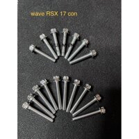 ốc lốc máy wave RSX 17con