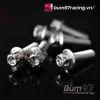 Ốc M6 x 2 SALAYA Đầu Probol