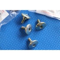 Ốc nắp đầu bò Fx125, Raider150