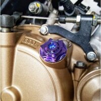 Ốc nắp nhớt Proti titan đầu lục giác cho Suzuki