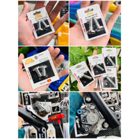 Ốc pat heo inox mẫu vặn ngược chống hack hiệu CTS ( 2 con )