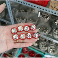 Ốc Salaya 8ly2 inox 304 kèm lông đền nhôm gắn cảng sau