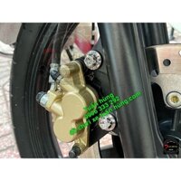 Ốc Salaya Heo Dầu [SIÊU ĐẸP] 8Li, 10Li Gắn Xe Máy - đồ chơi xe máy