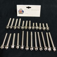 Ốc Salaya Lốc Máy Ex 135