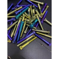 Ốc titan 10li70 đầu Salaya (M10*70 Probolt Salaya Head ) gắn heo trước moto và các vị trí khác