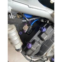 ốc titan gr5 7ly đầu lòng raider cơ ( titanium bolt grade 5 m7 for raider carb )