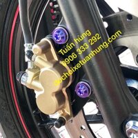 Ốc Titan Heo Dầu Exciter 155/Ex155 [SIÊU ĐẸP] G5 xanh tím/lục bảo - ốc heo dầu titan - đồ chơi xe ex 155