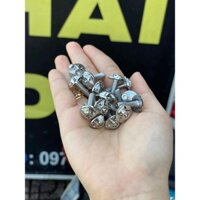 Ốc titan , Ốc salaya dàn áo xịn xò cho các dòng xe phổ thông