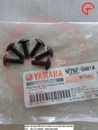ỐC VÍT LẮP DÀN ÁO NHỰA XE YAMAHA (COMBO 10 CON)