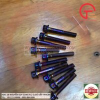 ỐC VƯƠNG NIỆM MÀU TITAN BAO BAY MÀU GẮN LỐC MÁY HOẶC CÁC VỊ  TRÍ CỦA XE ( 10 CON)