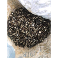 ốc zin minsk 130k/1kg