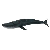 Sea Animal Toys: Nơi bán giá rẻ, uy tín, chất lượng nhất | Websosanh Sea Animal Toys: Nơi bán giá rẻ, uy tín, chất lượng nhất | Websosanh