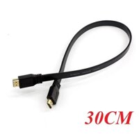 Oem 12619 Cáp HDMI dài 30cm (0.3m) Cable High Speed 1.4 FULL HD