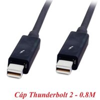 OEM 17041 0.8M Cáp Thunderbolt 2 dùng để truyền data hoặc xuất hình ảnh chuẩn Thunderbolt  2