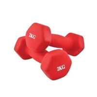 office.gaming.chair19 - Cặp tạ tay 2kg RED cao cấp lõi thép đặc, bọc caosu nhám Tập Gym