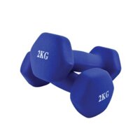 office.gaming.chair19 - Cặp tạ tay 2kg BLUE cao cấp lõi thép đặc, bọc caosu nhám
