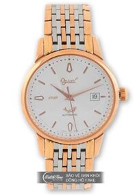 Ogival 1929 - OG1929-24AGSR-T