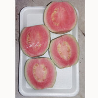 Ổi giống Đài Loan Ruột Hồng