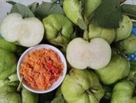 Ổi Nữ hoàng không hạt